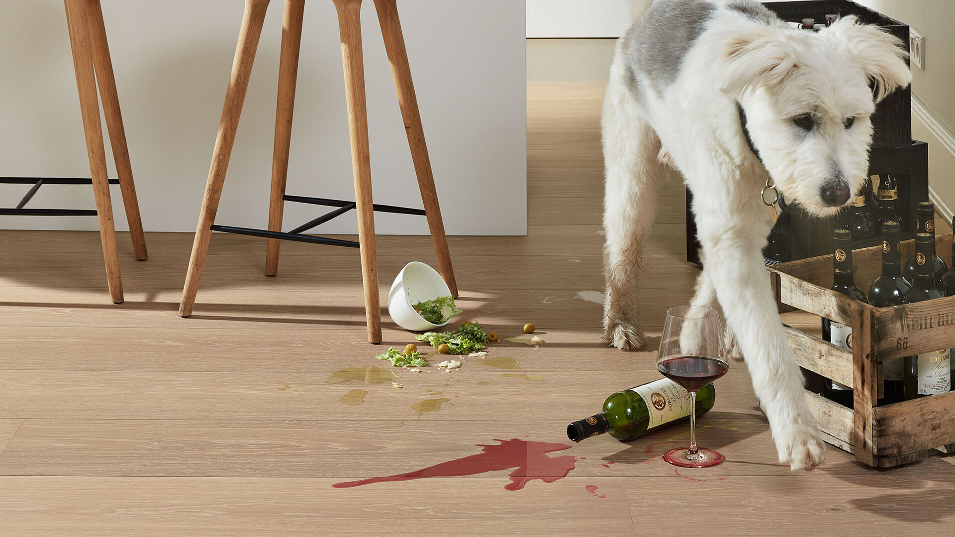 Kratzfeste Böden mit Haustieren Heller Lindura-Boden in der Küche mit Hund, verschüttetem Wein und Salatdressing